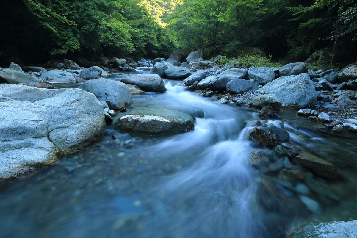 a river with rocks